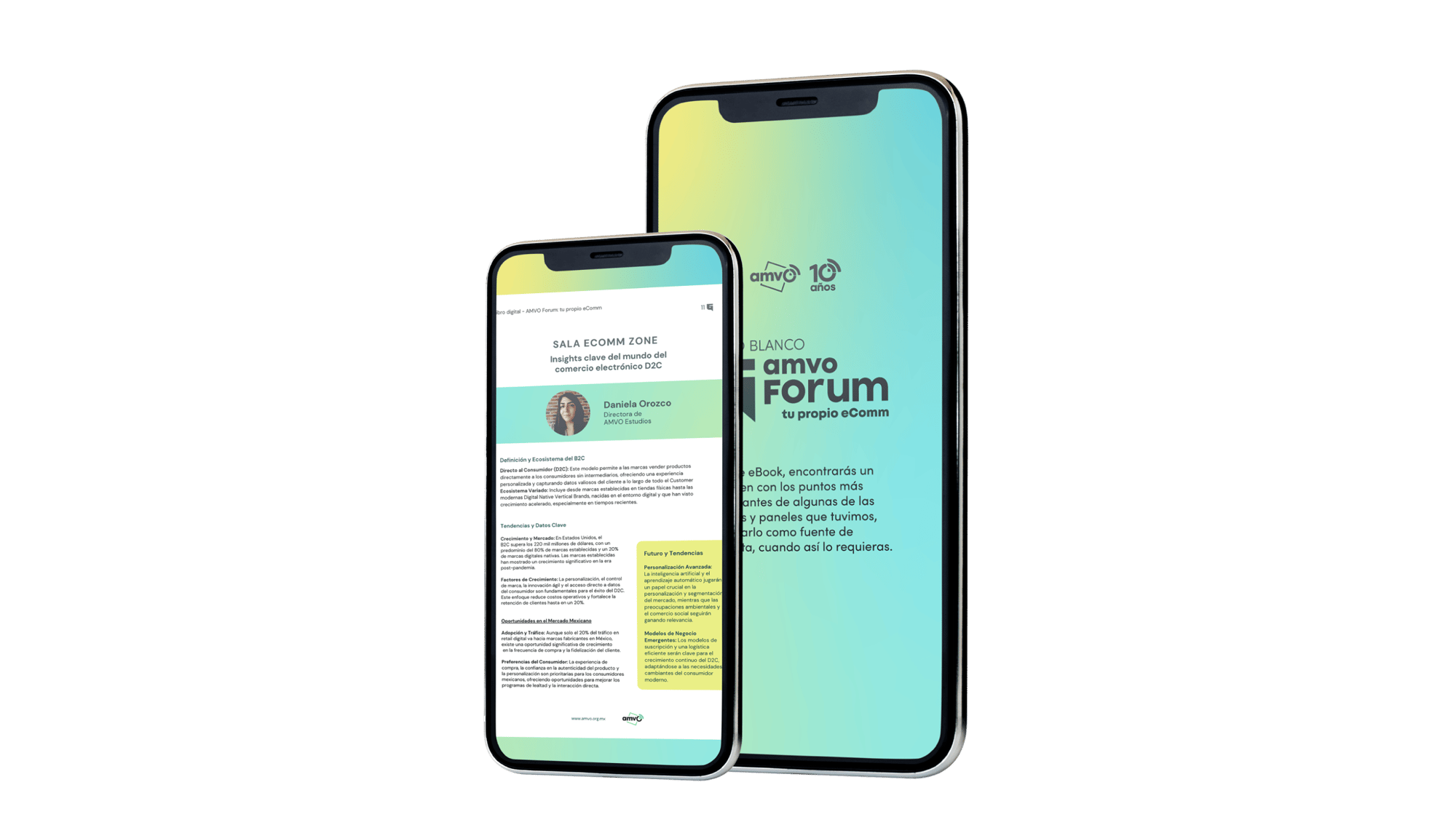 ebook_mockup-1