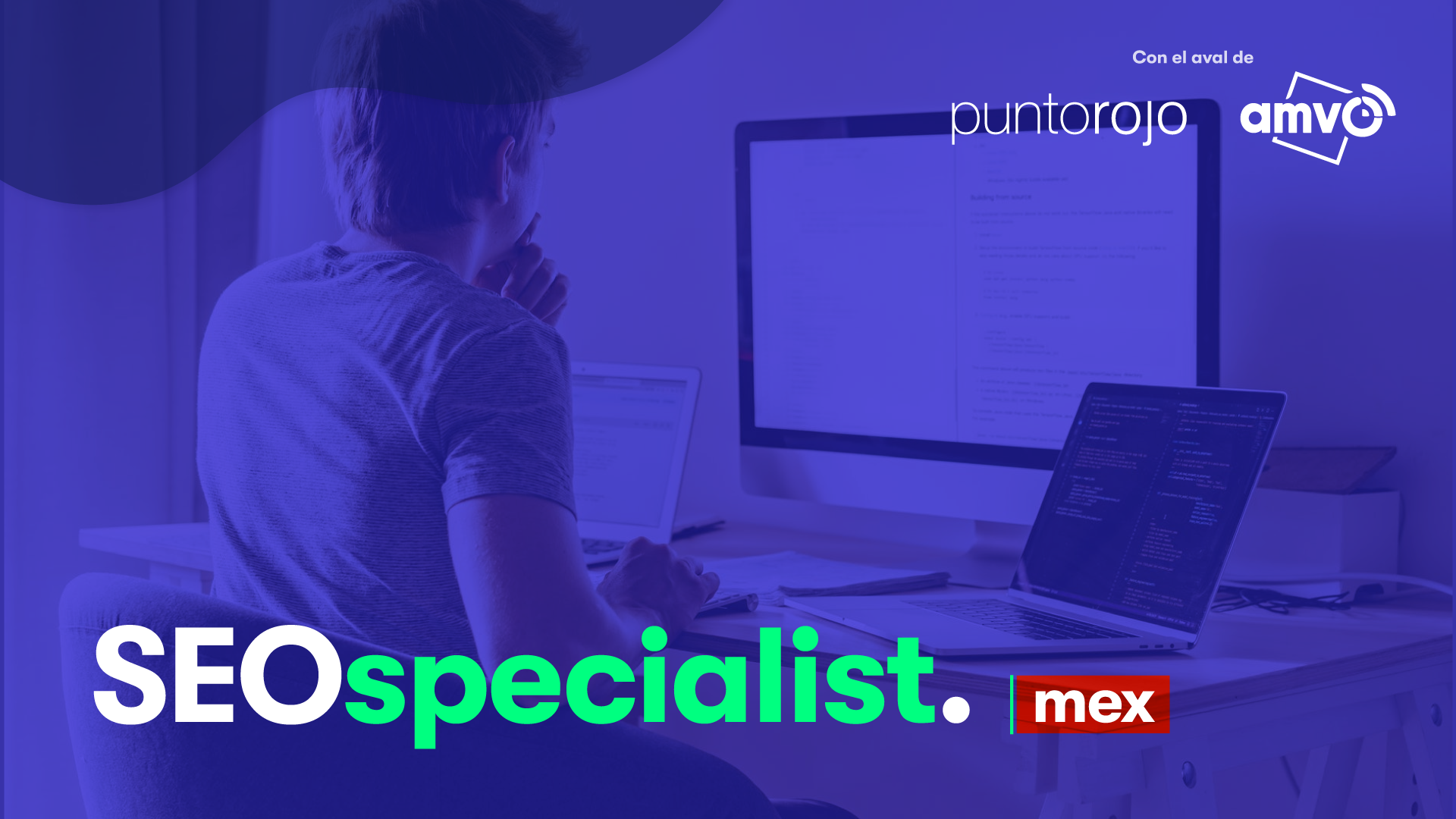imageninterna_SEO-Specialist